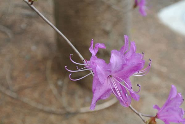 DSC_8868.JPG DSC_8868.JPG