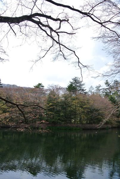 DSC_8854.JPG DSC_8854.JPG