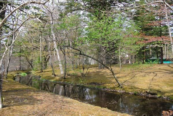 DSC_8858.JPG DSC_8858.JPG