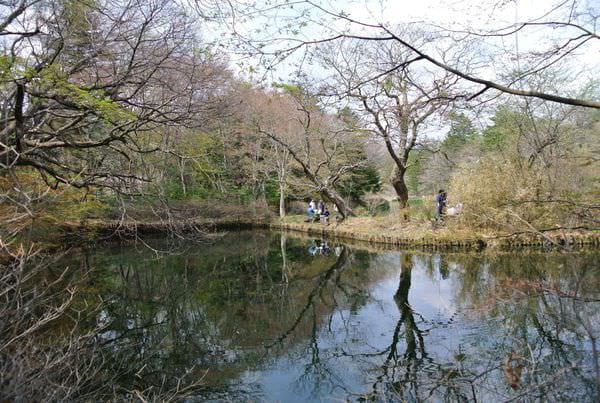 DSC_8844.JPG DSC_8844.JPG