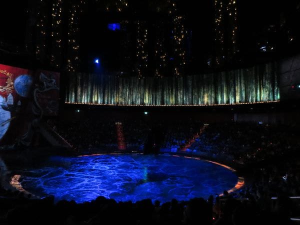 IMG_0257.JPG IMG_0257.JPG