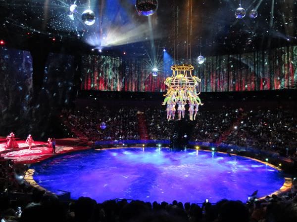 IMG_0271.JPG IMG_0271.JPG