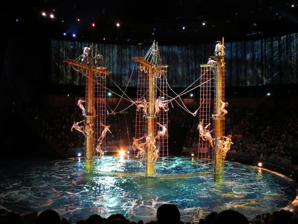 IMG_0261.JPG IMG_0261.JPG