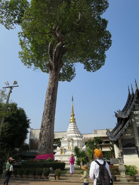 IMG_0920.JPG IMG_0920.JPG