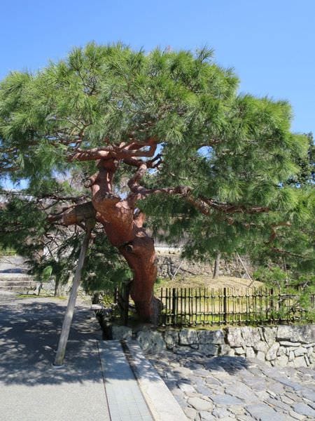 IMG_2498.JPG IMG_2498.JPG