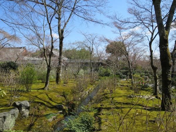 IMG_2530.JPG IMG_2530.JPG