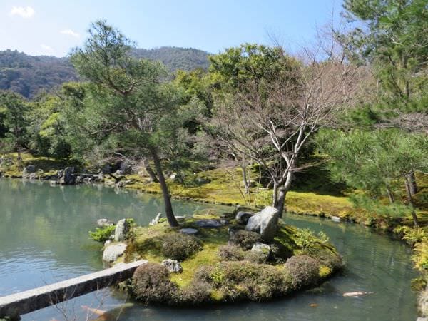 IMG_2512.JPG IMG_2512.JPG