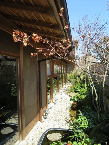 IMG_2573.JPG IMG_2573.JPG