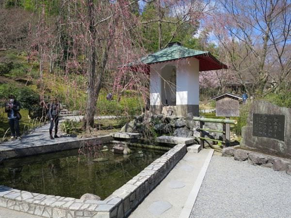 IMG_2525.JPG IMG_2525.JPG