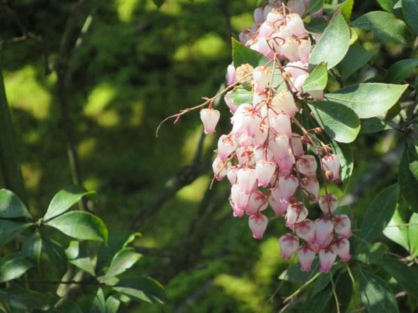 IMG_2519.JPG IMG_2519.JPG