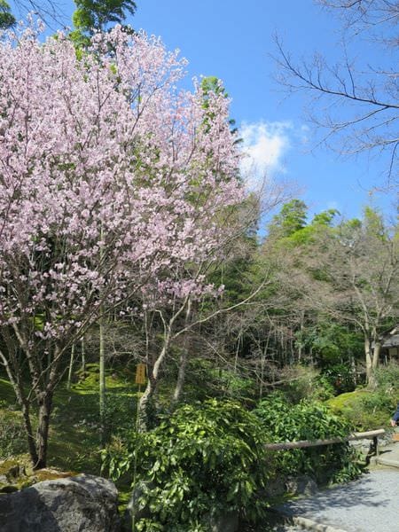 IMG_2528.JPG IMG_2528.JPG