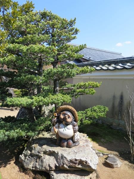 IMG_2479.JPG IMG_2479.JPG