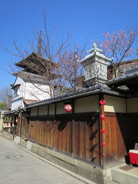 IMG_2732.JPG IMG_2732.JPG