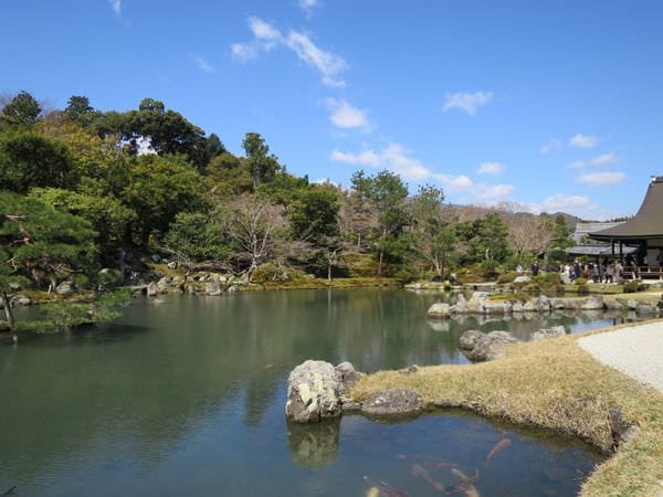 IMG_2504.JPG IMG_2504.JPG