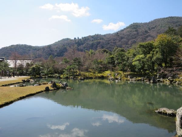 IMG_2510.JPG IMG_2510.JPG