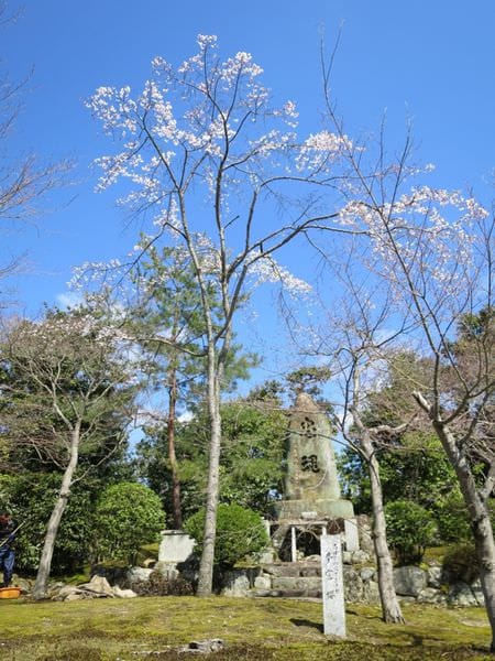 IMG_2495.JPG IMG_2495.JPG