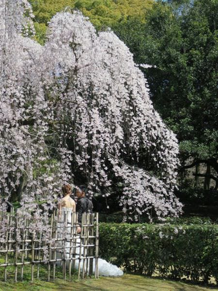 IMG_3021.JPG IMG_3021.JPG