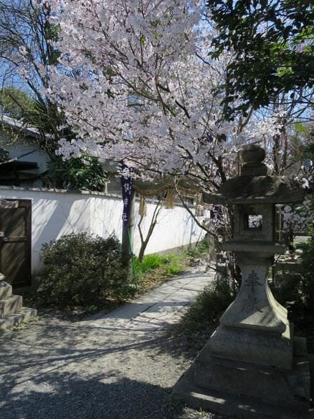 IMG_3017.JPG IMG_3017.JPG