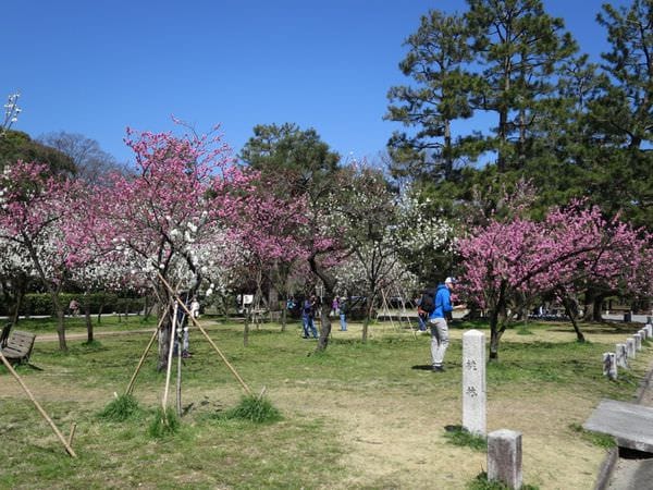 IMG_3035.JPG IMG_3035.JPG