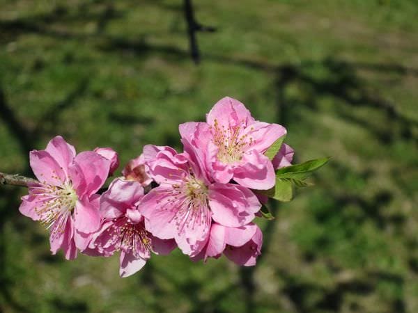 IMG_3038.JPG IMG_3038.JPG