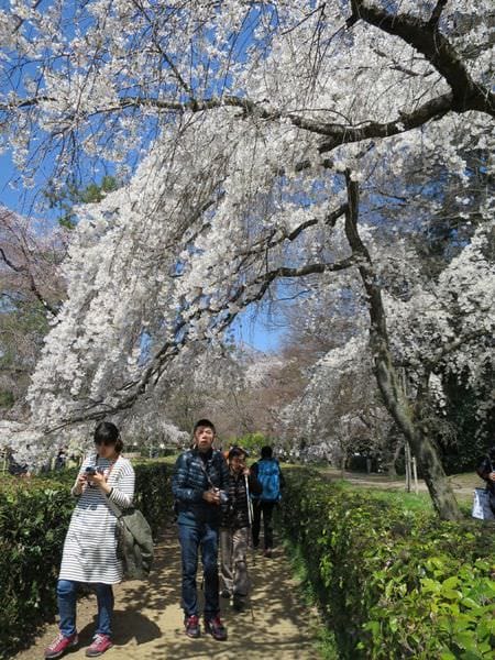 IMG_3055.JPG IMG_3055.JPG