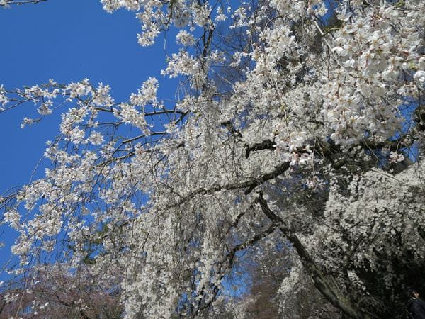 IMG_3054.JPG IMG_3054.JPG