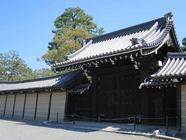 IMG_3051.JPG IMG_3051.JPG