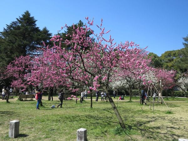 IMG_3045.JPG IMG_3045.JPG