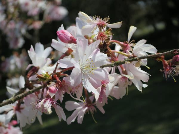 IMG_3026.JPG IMG_3026.JPG