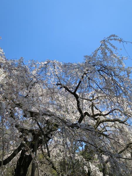 IMG_3078.JPG IMG_3078.JPG