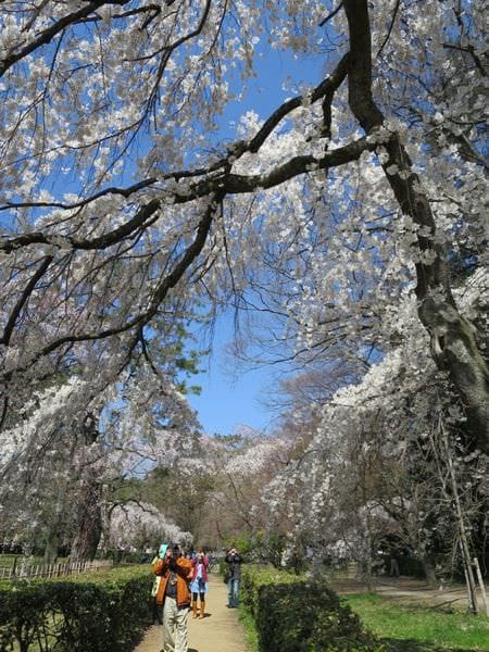 IMG_3057.JPG IMG_3057.JPG