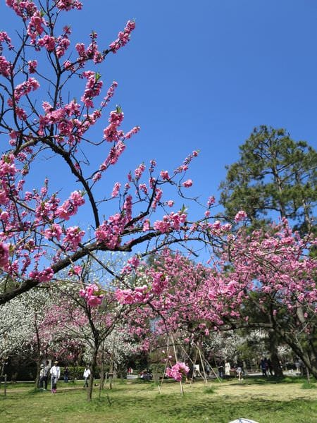 IMG_3039.JPG IMG_3039.JPG