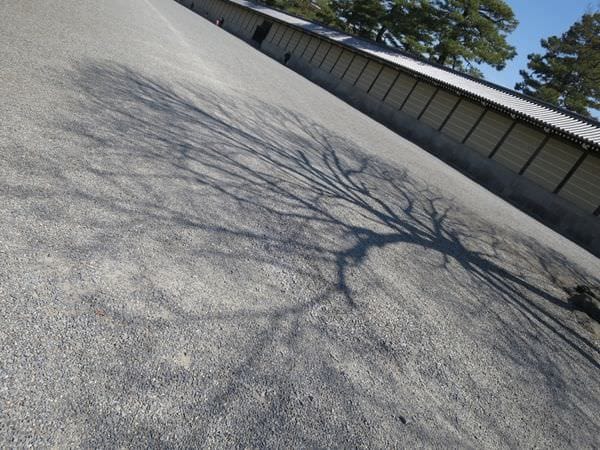 IMG_3048.JPG IMG_3048.JPG