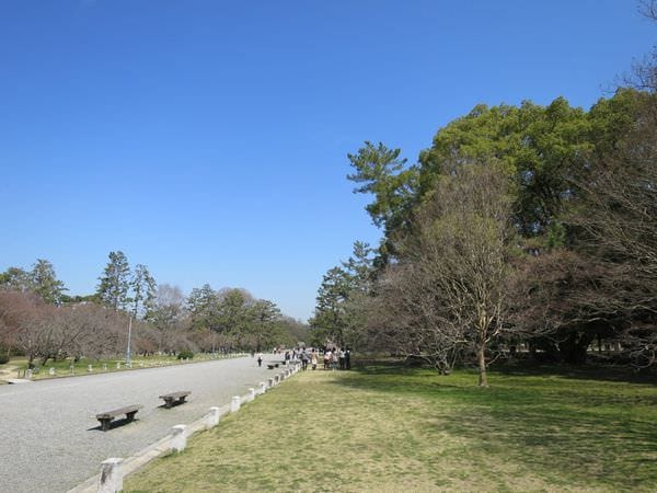 IMG_3025.JPG IMG_3025.JPG