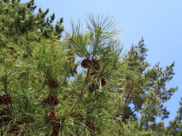 IMG_3089.JPG IMG_3089.JPG