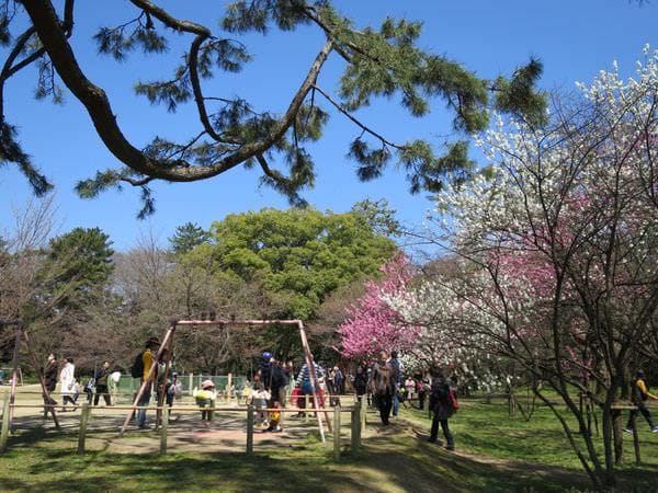 IMG_3085.JPG IMG_3085.JPG