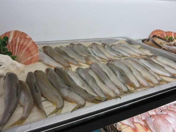 IMG_3189.JPG IMG_3189.JPG