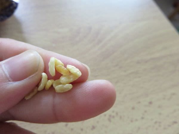 IMG_3285.JPG IMG_3285.JPG