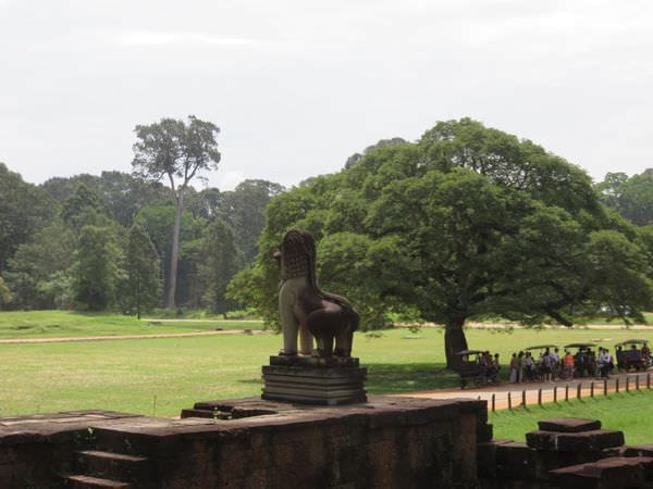 IMG_4540.JPG IMG_4540.JPG