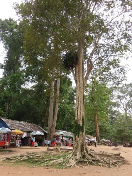 IMG_4562.JPG IMG_4562.JPG