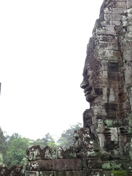 IMG_4498.JPG IMG_4498.JPG