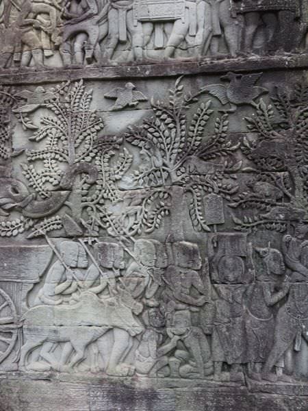 IMG_4467.JPG IMG_4467.JPG