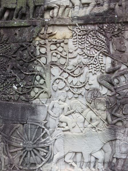 IMG_4466.JPG IMG_4466.JPG