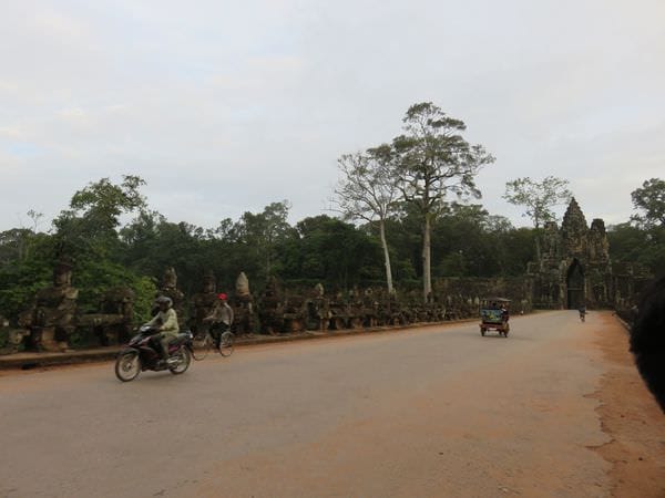 IMG_4445.JPG IMG_4445.JPG