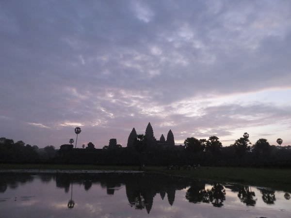 IMG_4431.JPG IMG_4431.JPG