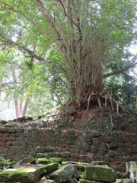 IMG_4535.JPG IMG_4535.JPG