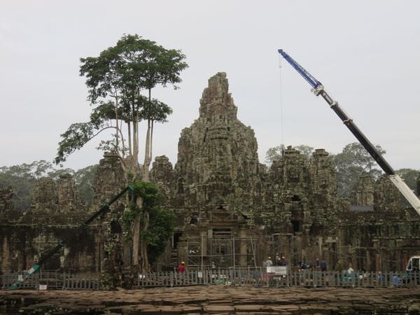 IMG_4454.JPG IMG_4454.JPG