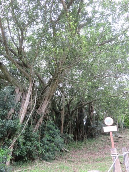 thumb_IMG_8160_1024.jpg thumb_IMG_8160_1024.jpg