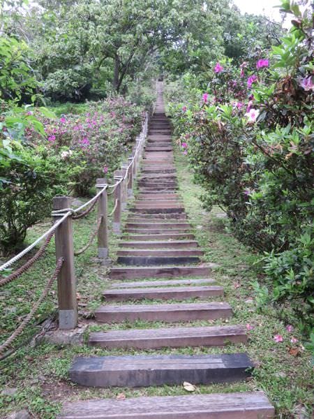 thumb_IMG_8157_1024.jpg thumb_IMG_8157_1024.jpg