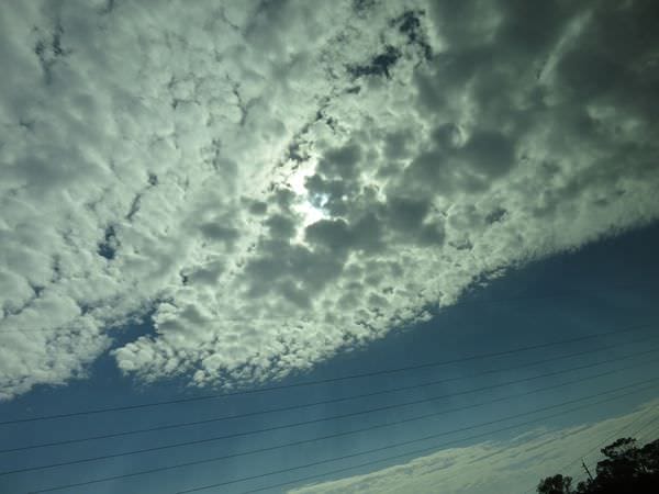 IMG_7368.JPG IMG_7368.JPG